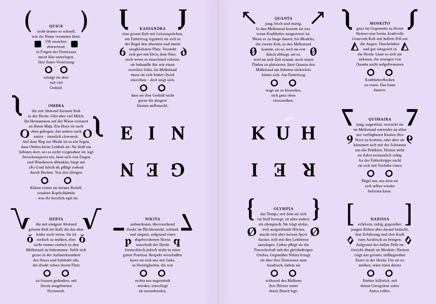 Reportagen #25 Infographic Kühe