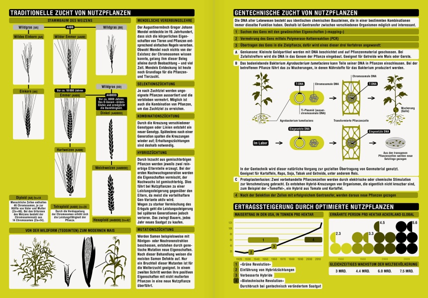 Reportagen #21 Infographic