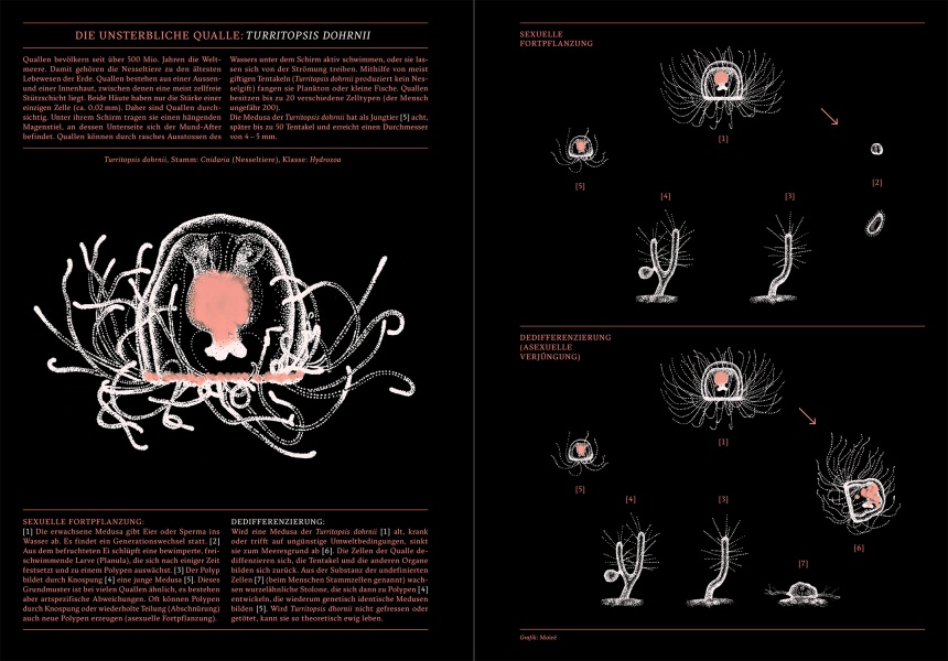 Reportagen #11 Infographic