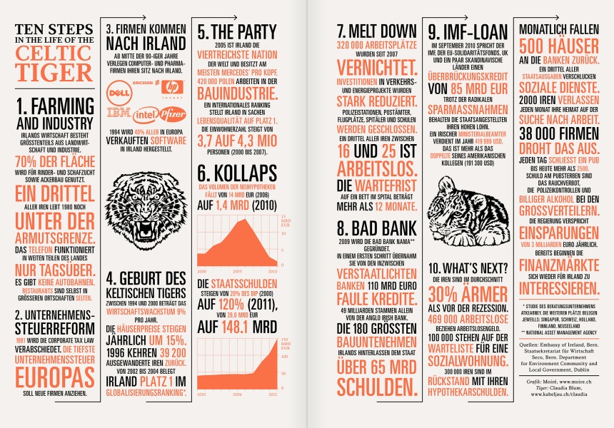 Reportagen #01 Infographic Irrland