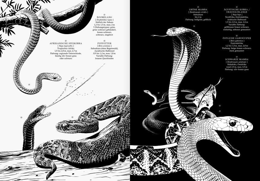 Reportagen 72 Infographic