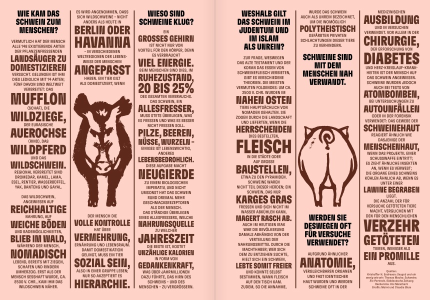 Reportagen 73 Infographic