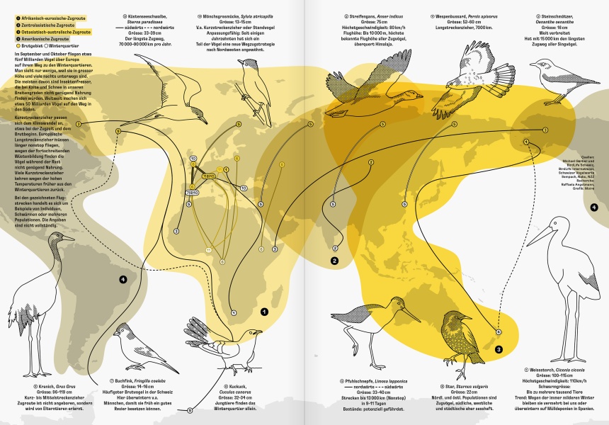Reportagen 74 Infographic